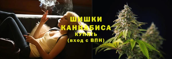 spice Богданович