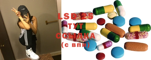 индика Белоозёрский