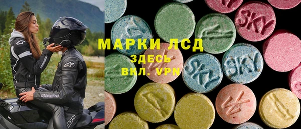spice Богданович