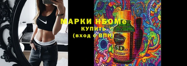 spice Богданович
