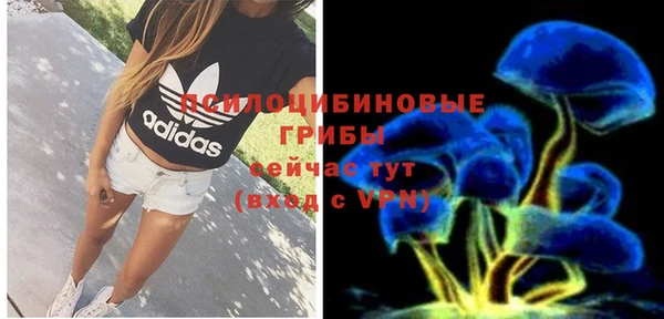 таблы Богородск