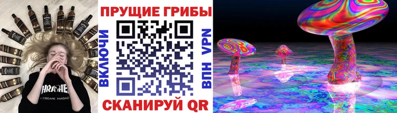 купить   Дегтярск  Псилоцибиновые грибы GOLDEN TEACHER 
